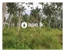 27 Acres of Cultivated Land for Sale on Deraniyaga